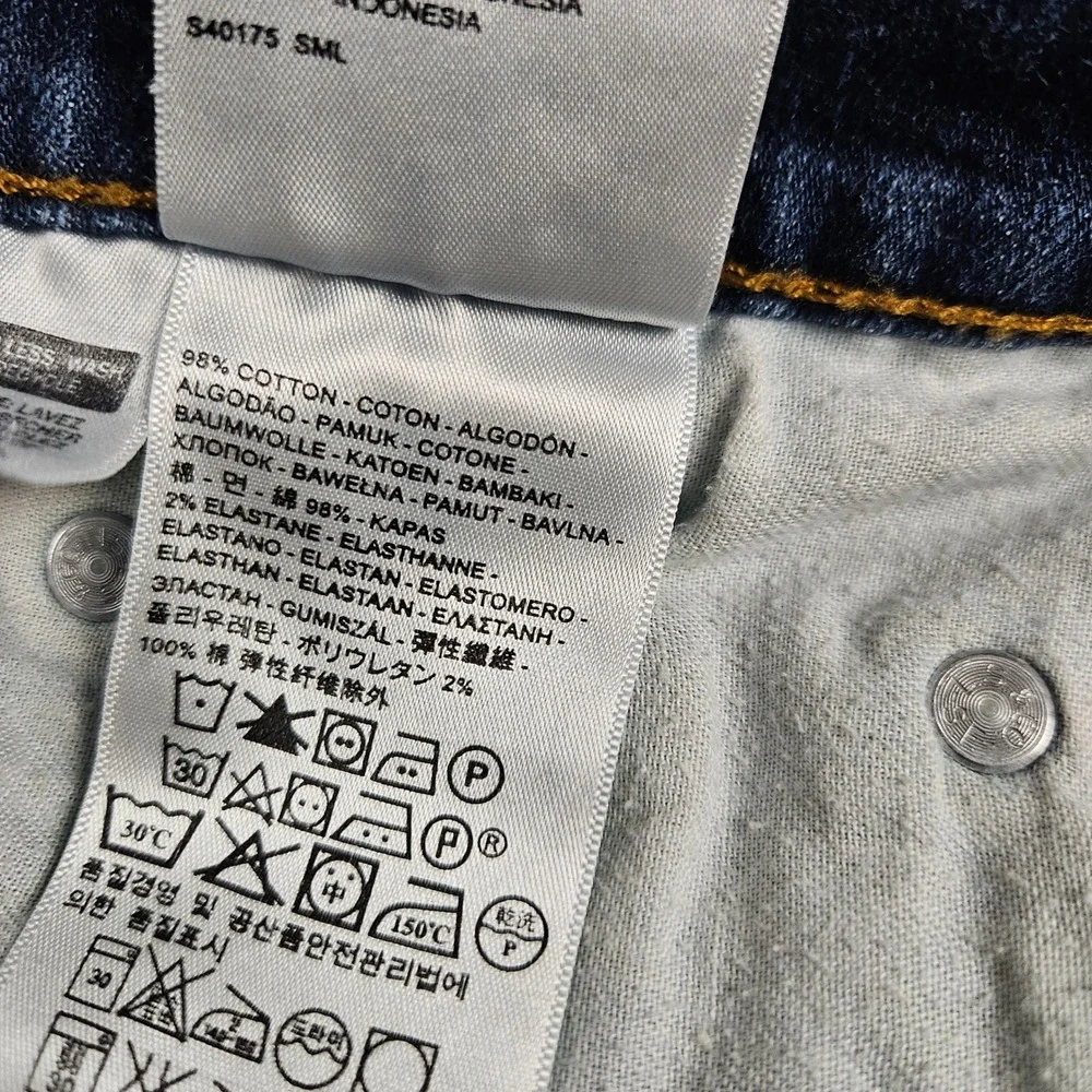 Levis levis 559